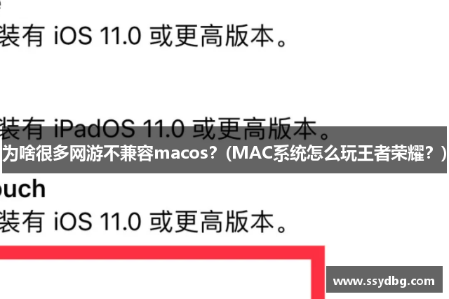 为啥很多网游不兼容macos？(MAC系统怎么玩王者荣耀？)